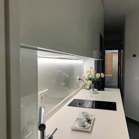 Apartmán Ramon Y Cajal De Luxe *